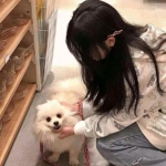 烈焰龙城华为版本下载